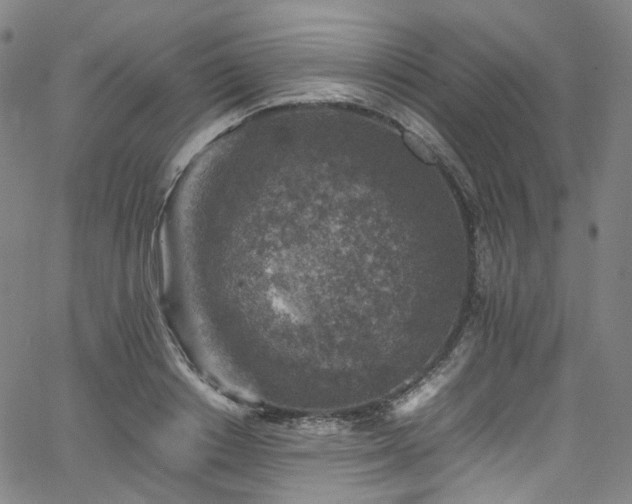 X0000065980842200603101420