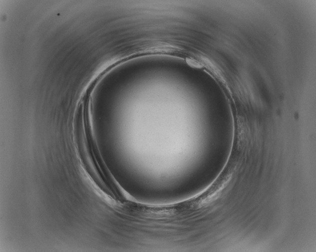 X0000065980843200603101420