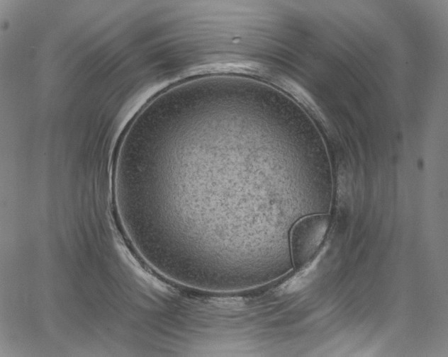 X0000065980844200603101420