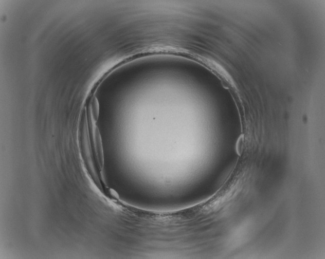 X0000065980847200603101420