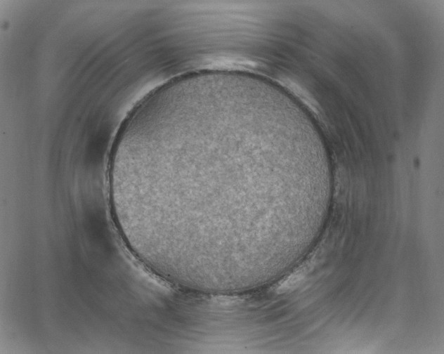 X0000065980848200603101420