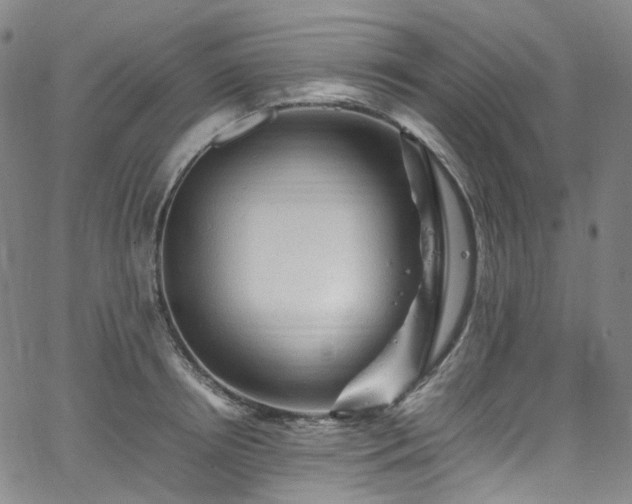 X0000065980850200603101420