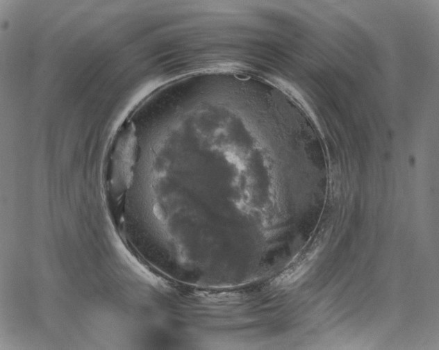 X0000065980851200603101420