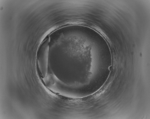 X0000065980853200603101420