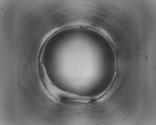 X0000065980854200603101420