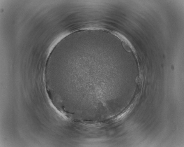 X0000065980855200603101420