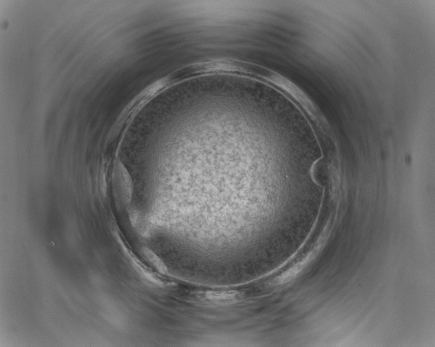 X0000065980857200603101420