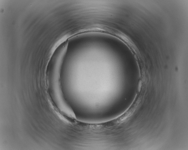 X0000065980858200603101420