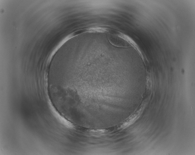 X0000065980859200603101420