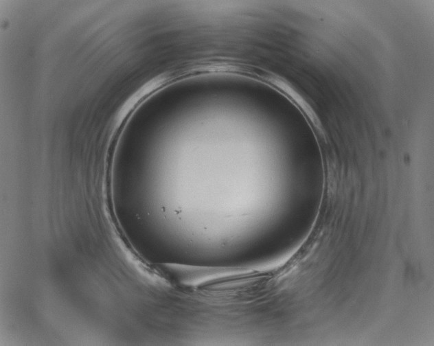 X0000065980861200603101420