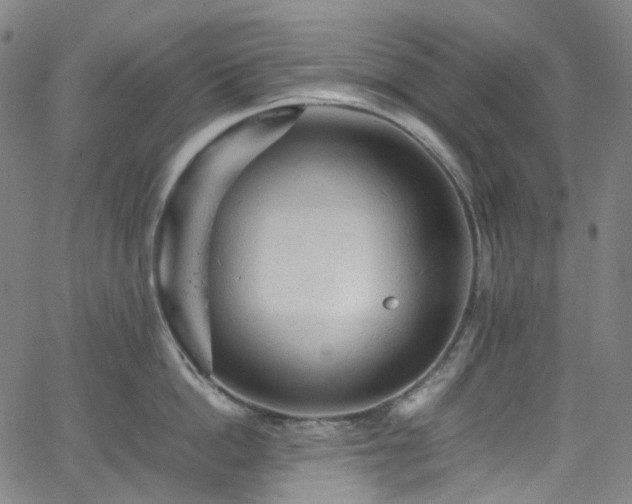 X0000065980862200603101420