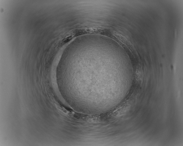 X0000065980865200603101420