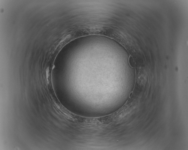 X0000065980866200603101420