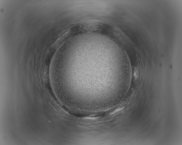 X0000065980867200603101420