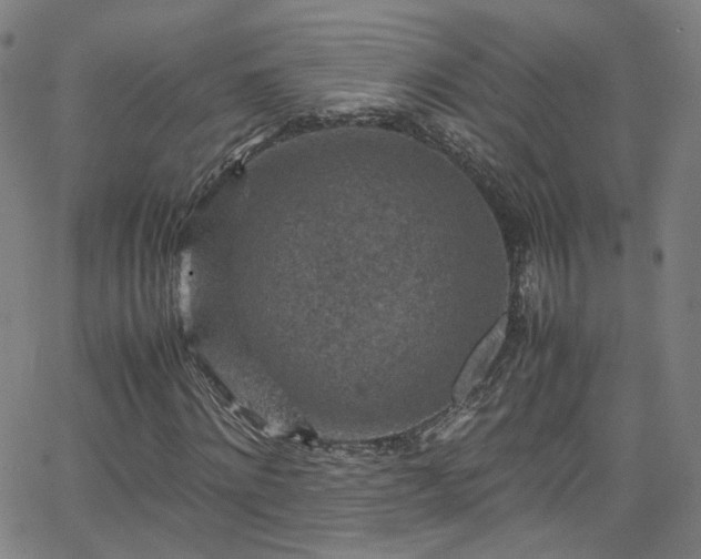 X0000065980868200603101420