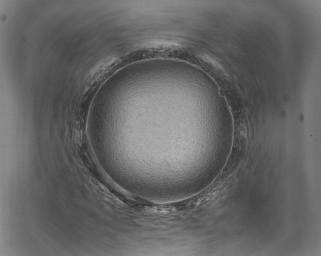 X0000065980869200603101420