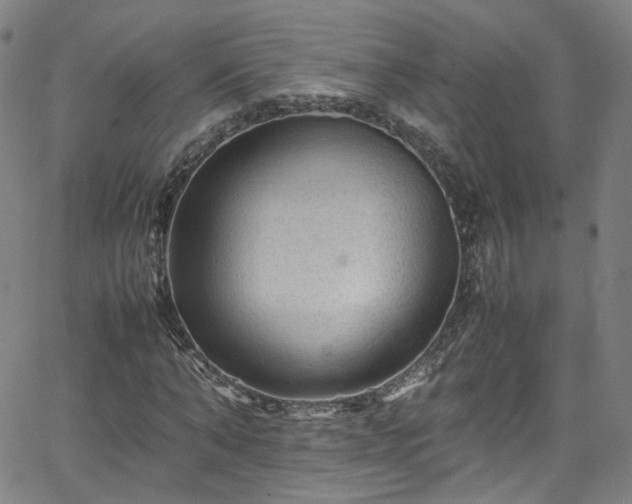 X0000065980870200603101420