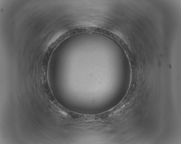 X0000065980871200603101420