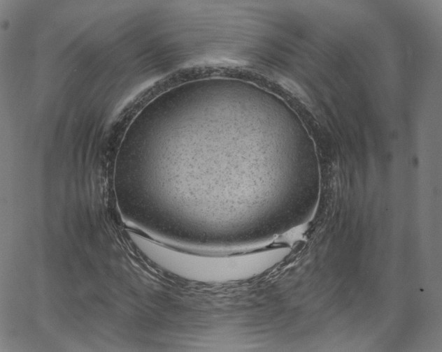 X0000065980872200603101420