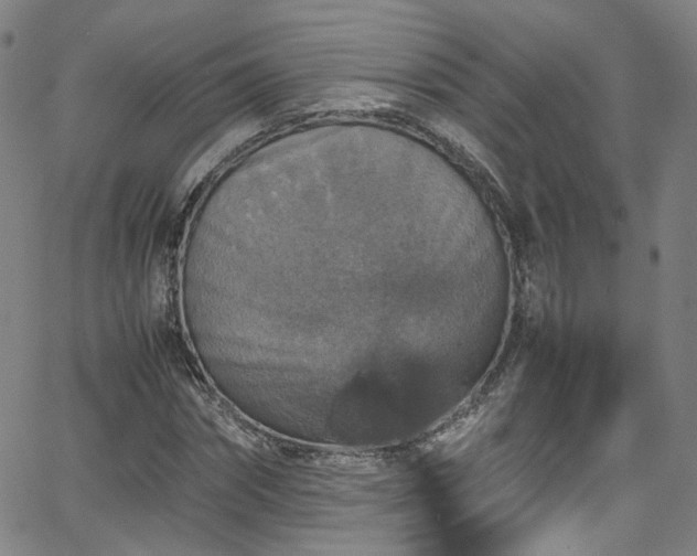 X0000065980874200603101420