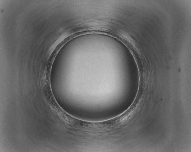 X0000065980875200603101420