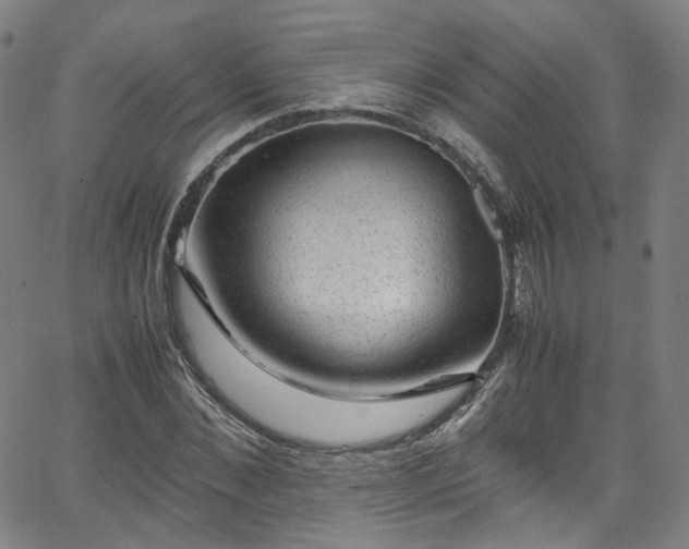 X0000065980876200603101420