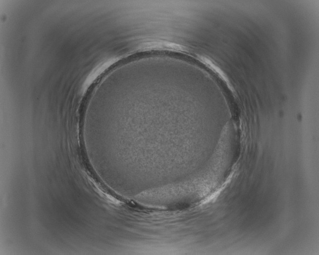 X0000065980877200603101420