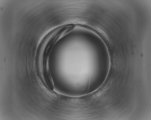 X0000065980880200603101419