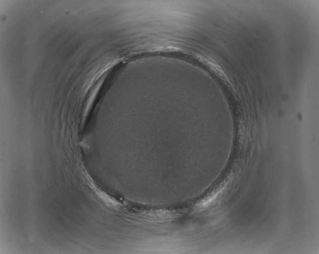 X0000065980881200603101419