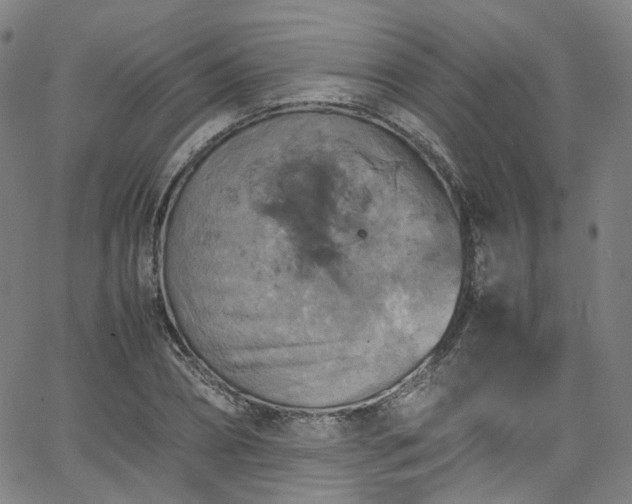 X0000065980882200603101419