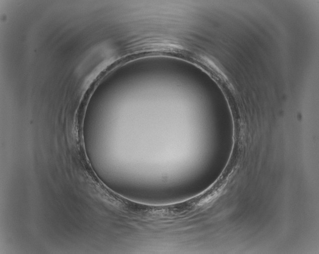 X0000065980883200603101419