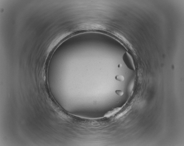 X0000065980885200603101419