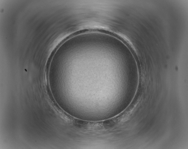 X0000065980887200603101419