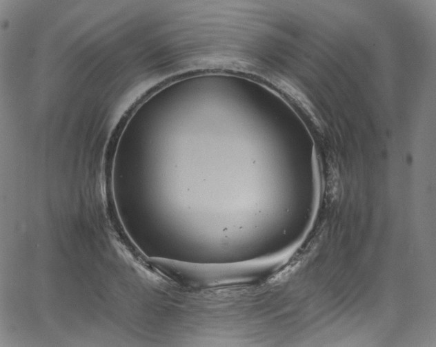 X0000065980888200603101419