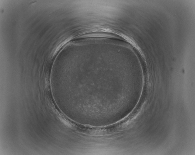 X0000065980889200603101419