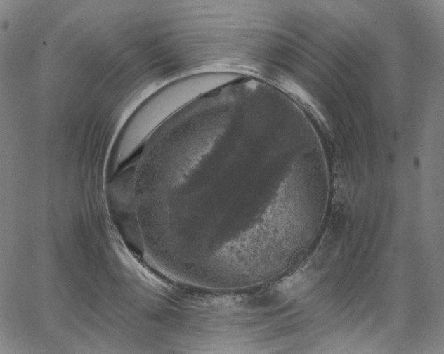 X0000065980892200603101419