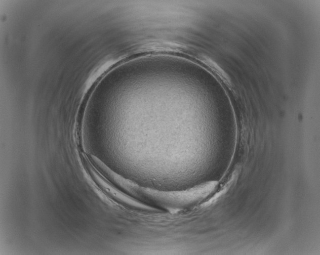 X0000065980893200603101419