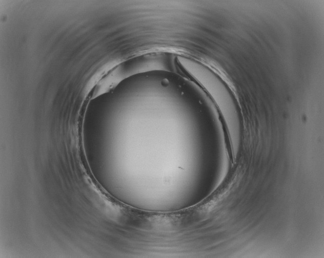 X0000065980898200603101419