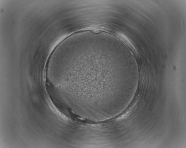 X0000065980900200603101419