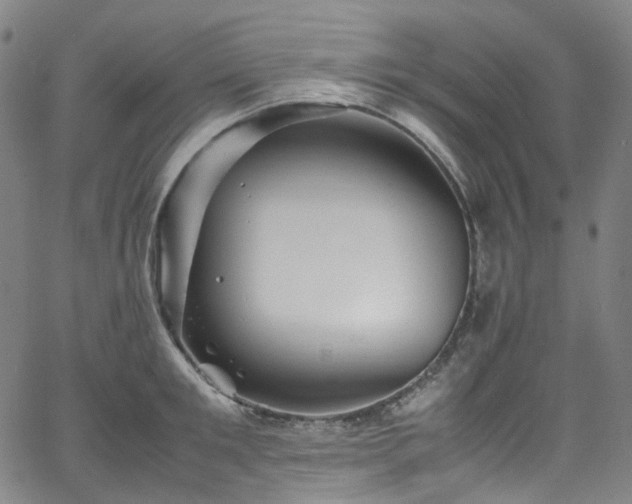 X0000065980901200603101419