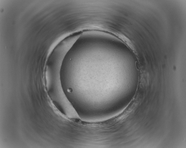 X0000065980904200603101419