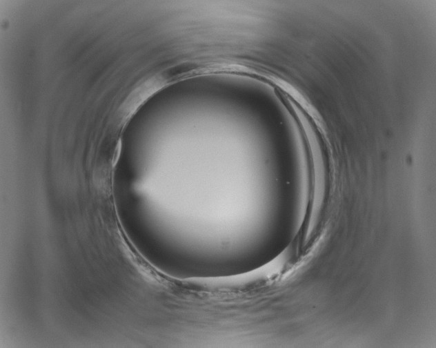 X0000065980905200603101419