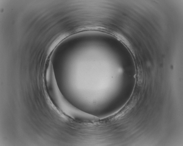 X0000065980906200603101419