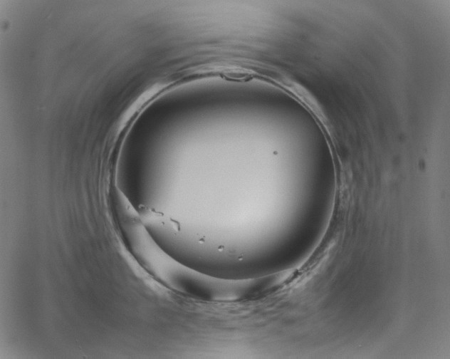 X0000065980909200603101419