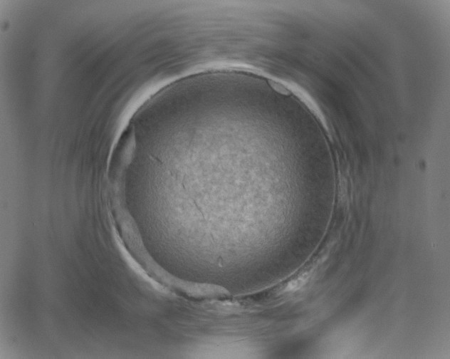 X0000065980911200603101419