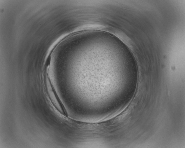 X0000065980912200603101419