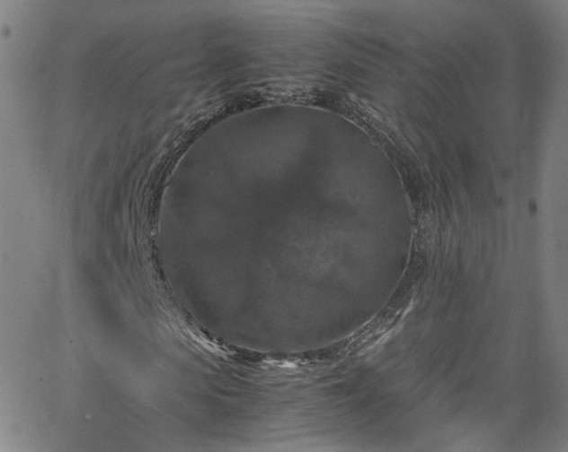 X0000065980913200603101418