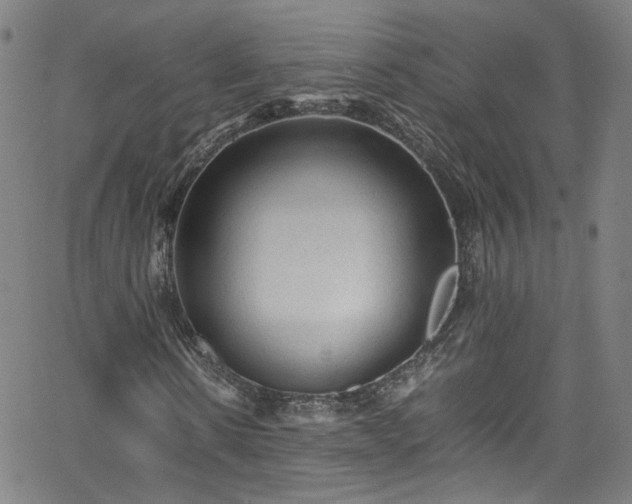 X0000065980914200603101418