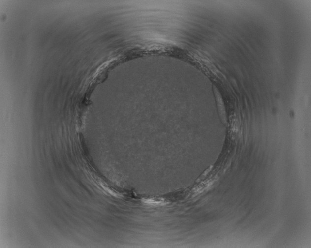 X0000065980916200603101418