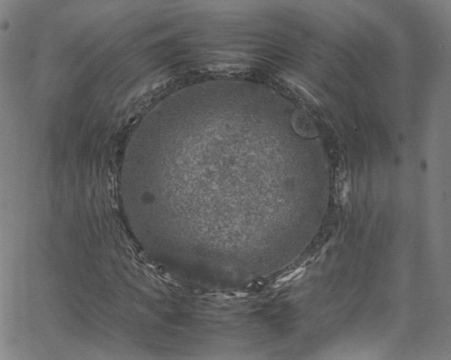 X0000065980917200603101418